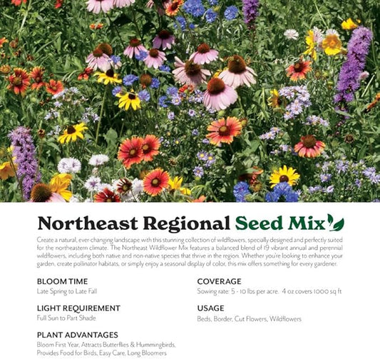 Grow Your Own Vibrant Annual and Perennial Wildflower Garden Seeds Mixture, Varieties for Pollinators and Spring Gardens - Northeast Regional Mix, 5 lbs
