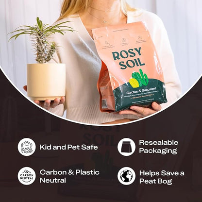 Rosy Soil Cactus & Succulent Potting Mix, 4qt, Pack of 2 | Organic Succulent Potting Soil, Chunky Fast Draining, Peat-Free, Root Boosting Mix, For AloeVera, Cacti, Indoor Succulents