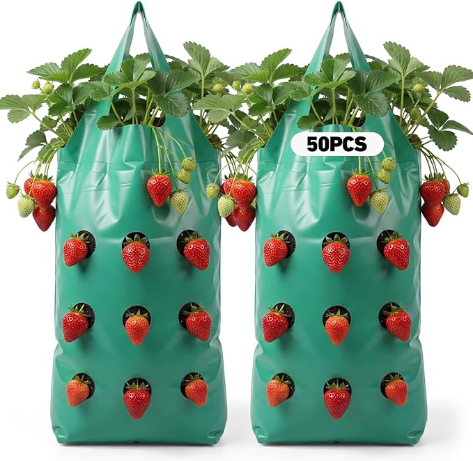 50 Pack Hanging Strawberry Planter Grow Bags, 9 Hole Plastic Hanging Vertical Planters, Upside Down Garden Bags with Reinforced Handles for Outdoor Wall Strawberries, Cherry, Tomatoes, Flowers, Tomato