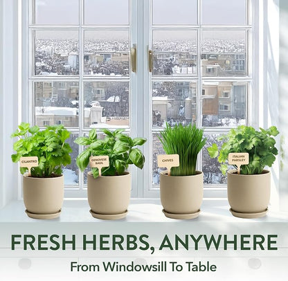 HOME GROWN Bonsai Tree Starter Kit – Unique Christmas Gift for Adults, Men, Women - Grow 4 Bonsais & Indoor Organic Herb Garden Kit – Unique Christmas Gift for Adults, Men, & Women - Grow 4 Herb Seeds