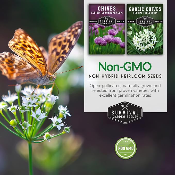 Chive Seeds Collection - Common & Garlic Chives Seed for Planting - 2 Packets of Non-GMO Heirloom Open-Pollinated Herb Varieties to Plant in Your Garden - Survival Garden Seeds