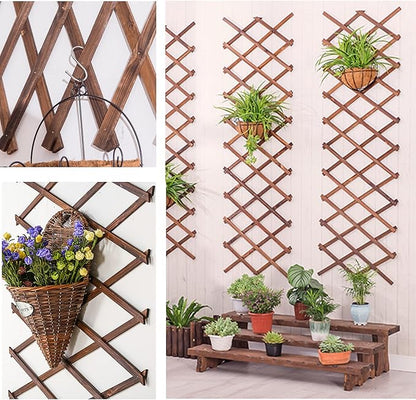 2Pack Expandable Wooden Lattice Wall,Plant Garden Trellis for Climbing Plants Outdoor, Plant Vertical Rack Wall Decor Indoor