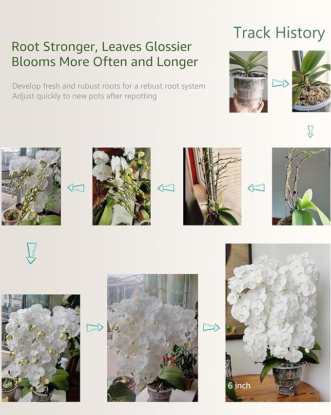 5 inch Orchid Pots with Holes for Repotting with Excellent Airflow, Set of 3, Double Layer Plastic Imitate Ceramic Orchid Planter, Clear Orchid Pot Match Decorative Orchid Container