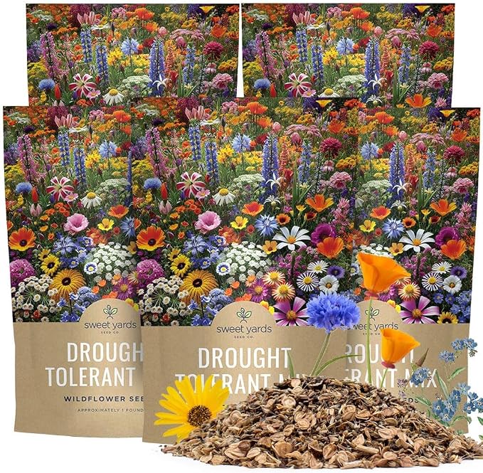 Drought Tolerant Wildflowers Mix – Bulk 5 Pounds – Over 600,000 Open Pollinated Non-GMO Seeds – 21 Different Dryland Species