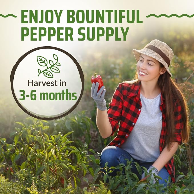 Rooted Acre 8 Varieties Hot Peppers – 240 Heirloom Seeds, High Germination – Includes Ghost Jalapeño, Serrano, California Wonder & More – Spicy Pepper Garden Mix