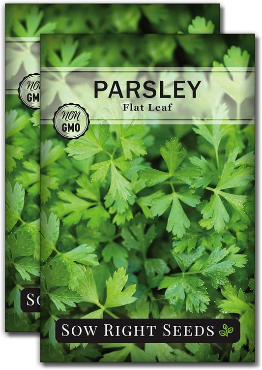 Sow Right Seeds - Flat Leaf Parsley Seed for Planting - Non-GMO Heirloom Packet with Instructions to Plant and Grow a Kitchen Herb Garden - Indoor or Outdoor - Great for Hydroponics Growing (2)