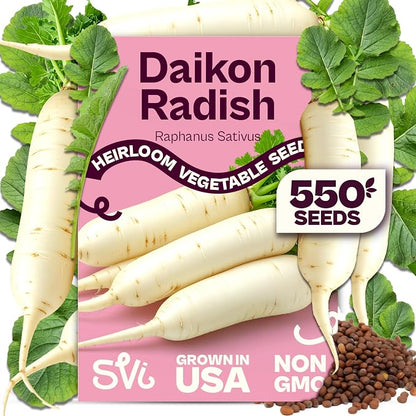 SVI 550 Daikon Radish Seeds (Raphanus sativus) – White Radish Seed Packets, 45-Day Radishes Harvest, Raddish Seed Pack – Heirloom Vegetable Seeds for Vegetable Garden Outdoors, Bed Japanese Garden