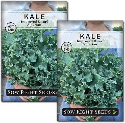 Sow Right Seeds - Dwarf Siberian Improved Kale Seed for Planting - Non-GMO Heirloom Packet with Instructions to Plant a Home Vegetable Garden - Very Nutritious Superfood - Classic Variety (2)