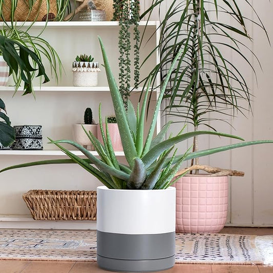 D'vine Dev Set of 2 Plants Pots, 10 Inch Ceramic Planter Pot for Plants with Drainage Hole and Saucer, White/Speckled Grey, 94-V-E-6