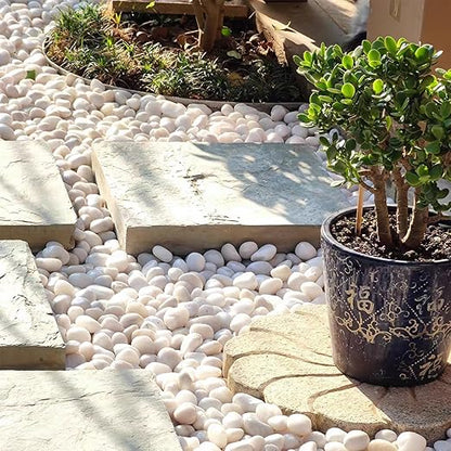 FANTIAN 5lbs White Pebbles for Indoor Plants, 0.8-1.2 Inch Smooth White River Rocks for Potted Plants, Decorative Polished Stones for Landscaping Vase Fish Tank and Outdoor Garden Pavers