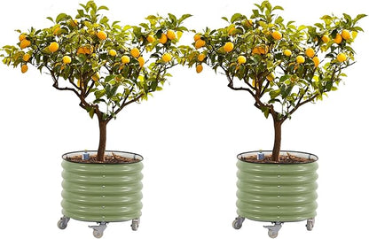 Rolling Metal Citrus Tree Planter, Self-Watering Round Planter Box for Porch Patio & Backyard, Raised Garden Bed with Wheels for Growing Trees Tomatoes Vegetables and Flowers, Twin Pack-Olive Green
