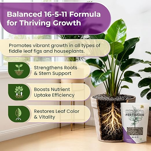 Fiddle Leaf Fig Fertilizer Pellets 16-5-11 Slow Release | Houseplant Fertilizer for Fiddle Leaf Fig, Fig Tree & Indoor Plants | Plant Food for Seedlings & Mature Plants | 5.2 oz