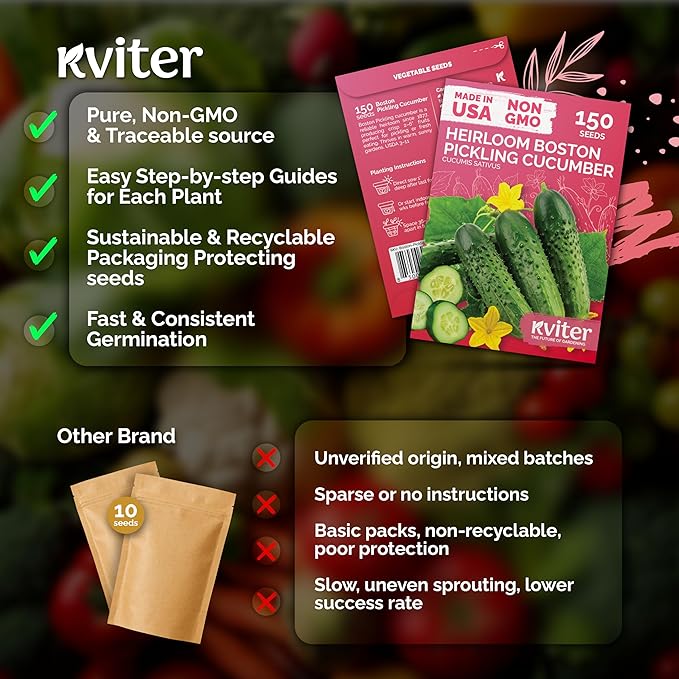 KVITER 150 Boston Pickling Cucumber Seeds (Cucumis sativus) - Boston Pickler Cucumber, Perfect Cucumbers for Pickling and Slicing - Vegetable Seeds for Planting in Home Garden & Containers