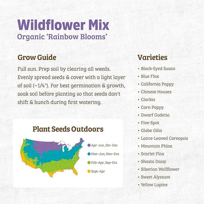 Back to The Roots 100% Organic Heirloom Seeds - Wildflower Mix Value Pack (500mg Total)