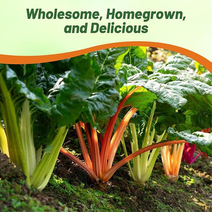 Outsidepride Mix Swiss Chard Seeds for Planting Vegetables & Microgreens - 2000 Pcs Vibrant, Tasty & Highly Nutritious Biennial Vegetable Seeds for Garden Beds, Borders, & Containers