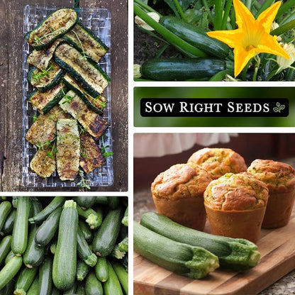 Sow Right Seeds - Black Beauty Zucchini Seeds for Planting - Non-GMO Heirloom Packet with Instructions to Plant a Home Vegetable Garden - Summer Squash - Classic Zucchini Good for Large Containers (4)