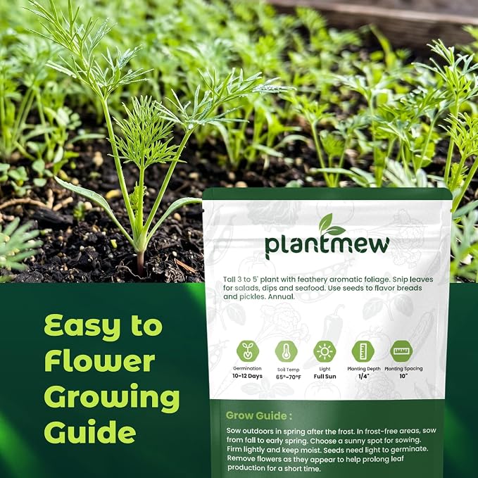 1200 Bouquet Dill Seeds for Planting Indoors & Outdoors - Premium Non-GMO Culinary Herb Seeds for Pickling, High Germination Fast Growing