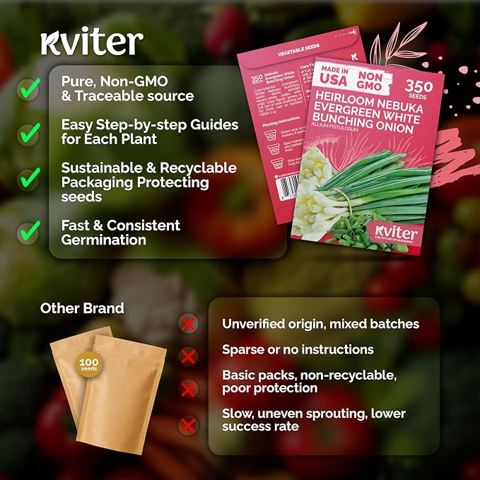 KVITER 350 Evergreen White Nebuka Bunching Onion Seeds (Allium Fistulosum) - Welsh Onion, Non-Bulbing Stalks, Mild Flavor, Non GMO Seed Packets - Vegetable Seeds for Outdoor Garden & Containers