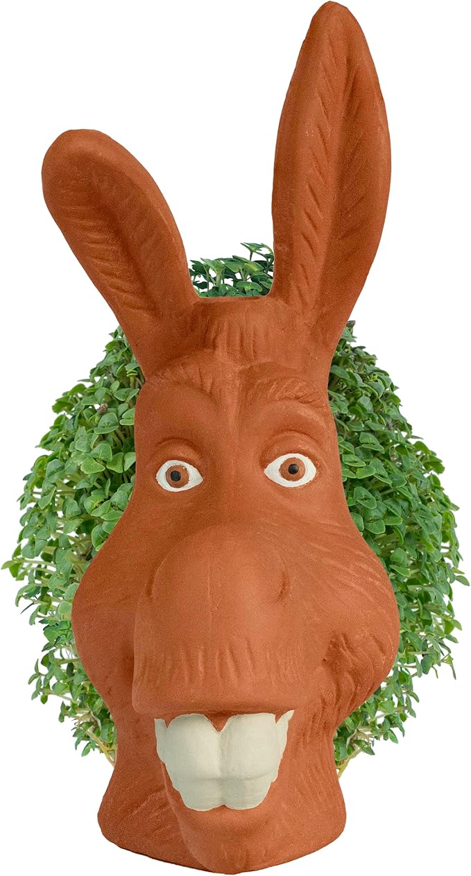 Chia Pet Donkey with Seed Pack, Decorative Pottery Planter, Easy to Do and Fun to Grow, Novelty Gift, Perfect for Any Occasion