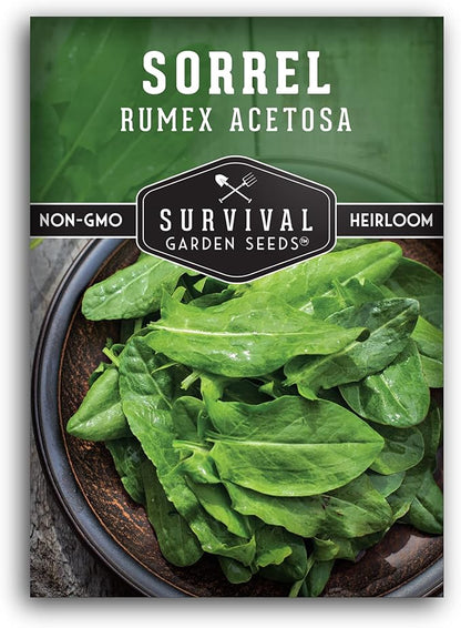 Sorrel Seeds for Planting - Large Leaf Garden Sorrel - Cool Weather Perennial Vegetable for Edible Leafy Greens - Heirloom Non GMO - Survival Garden Seeds (1 Pack)