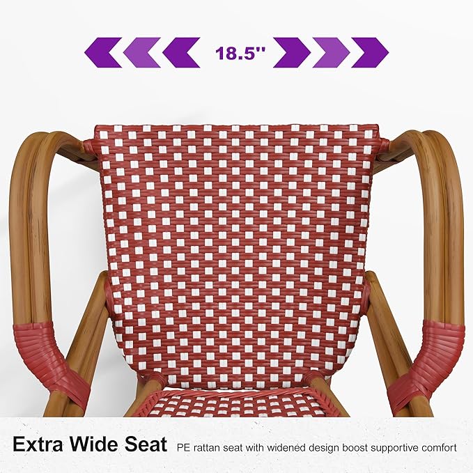 PURPLE LEAF French Bistro Chairs Set of 2 Patio Dining Chairs Hand-Woven Aluminum Wicker Rattan Armchairs for Kitchen Porch Garden Bamboo Print Finish Red White