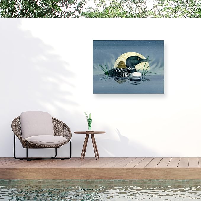 Outdoor Canvas Art - Dave Bartholet 'Loon Moon' Wall Art for Outdoor Spaces, Patios, or Gardens by Trademark Fine Art