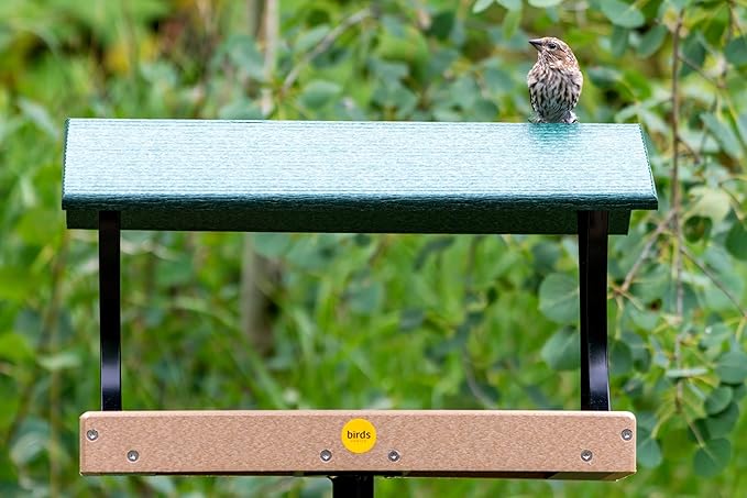 Birds Choice 18X12 Fly-Through Platform
