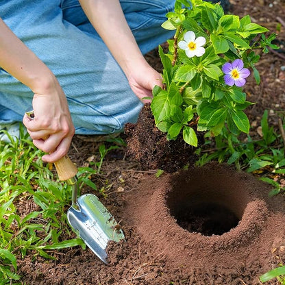 Berry&Bird Weeding Trowel, Multi- Use Hand Shovel with Serrated Blade Stainless Steel Garden Trowel Plus Size Potting Trowel with Wooden Handle for Transplanting, Digging, Measuring, Cutting Roots
