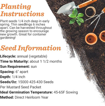 Bentley Seeds with Faith Pre Filled Giant Curled India Seed Packets - 25 Individual Mustard Seed Packs - Ideal for Party Favors - Non-GMO - Eco-Friendly Spring to Fall Gift - Outdoor Garden Seeds