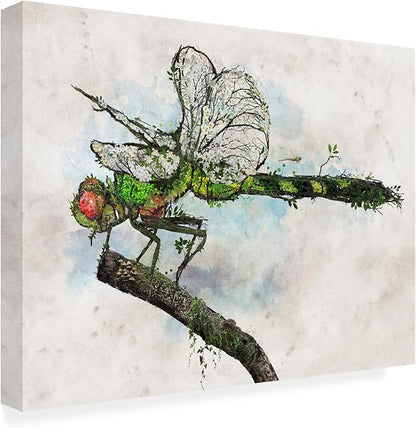 Outdoor Canvas Art - Barrett Biggers 'Dragonfly' Wall Art for Outdoor Spaces, Patios, or Gardens by Trademark Fine Art