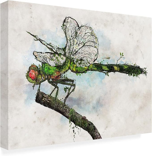 Outdoor Canvas Art - Barrett Biggers 'Dragonfly' Wall Art for Outdoor Spaces, Patios, or Gardens by Trademark Fine Art