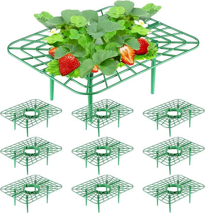 Havawish 10 Pack Strawberry Plant Support Holder for Chocolate Covered Strawberries Square Outdoor Plant Stand Holder, Growing Racks Growing Frame for Keeping Garden Clean