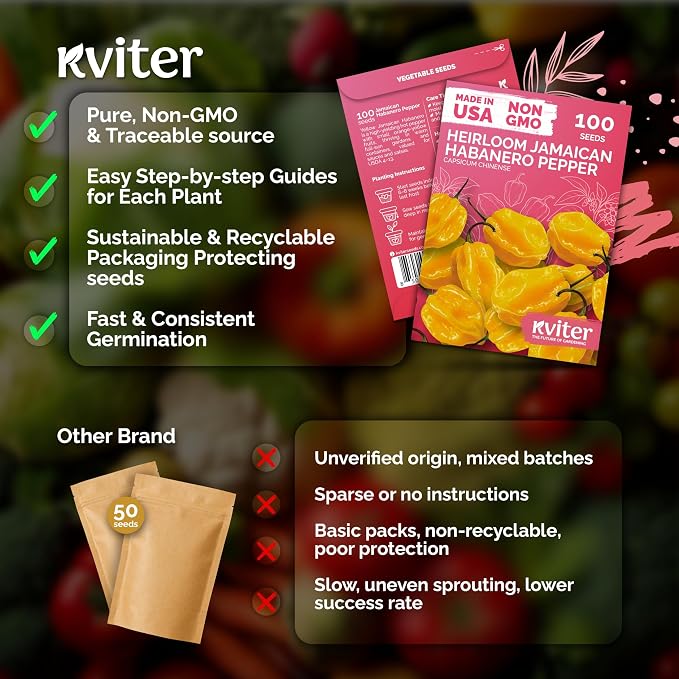 KVITER 100 Yellow Hot Jamaican Habanero Pepper Seeds (Capsicum Chinense) - Mushroom Chile Pepper, Relatively Mild Flavor, Non GMO Seed - Vegetable Seeds in Seed Packets for Outdoor Garden, Conteiners