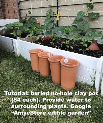 Bean Seeds for Planting Vegetables and Fruits. Pole Beans,Bush Beans,Romano Beans.Non GMO Garden Seeds for Home Vegetable Garden-65ct+ Sugar Snap Pea Seeds,豌豆苗,Edible Pod/Sweet Snap Pea Shoots & Tips