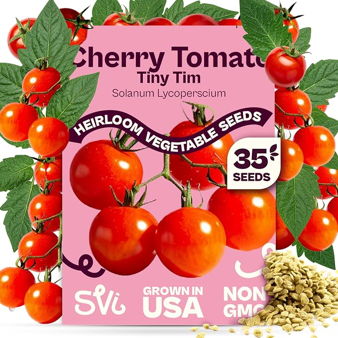SVI 35 Cherry Tiny Tim Tomato Seeds (Solanum Lycoperscium) - Dwarf Cherry Tomato Seed Packets, Sweet Mini Tomatoes - Heirloom Vegetable Seeds for Containers, Patio, Indoor & Outdoor Garden