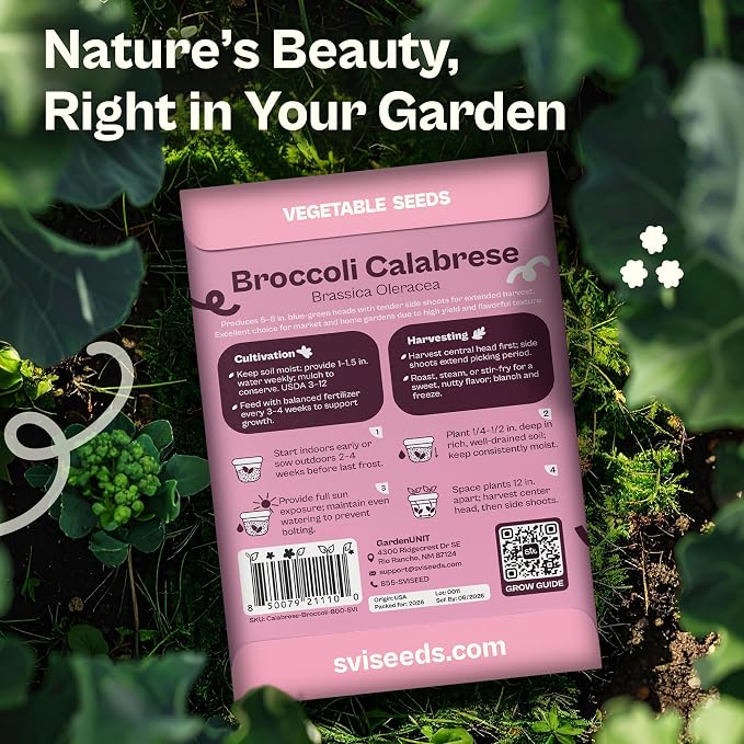 SVI 800 Calabrese Broccoli Seeds for Sprouting (Brassica oleracea VAR. capitata) - Green Broccoli Sprouts Seed Packets - Non-GMO Heirloom Vegetable Seeds for Planting Outdoors & Indoors Garden