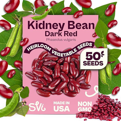 SVI 50 Dark Red Kidney Beans Seeds (Phaseolus vulgaris L.) – Rajma, Surkh Lobia, Heat-Tolerant, Protein-Rich – Heirloom Vegetable Seeds for Outdoor Garden & Raised Beds