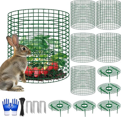 5 Sets Strawberry Plant Support with Wire Plant Protectors, 12.9"x 11.8" Wire Plant Cages and Strawberry Growing Racks, Animal Protection for Strawberry Tomato Garden Vegetables Plants