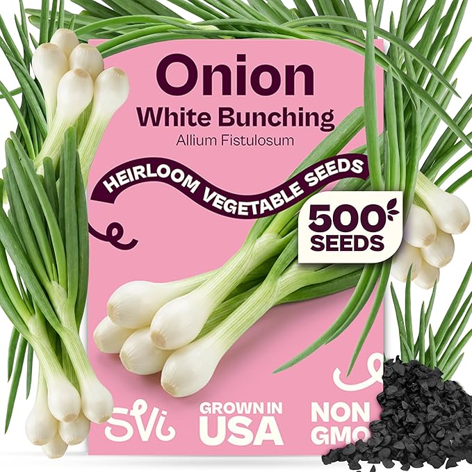 SVI 500 Bunching White Onion Seeds For Planting (Allium fistulosum) – Green Onion Seed Packets, Bunching Scallions Seed, Cebolla – Heirloom Vegetable Seeds for Planting Outdoors Home garden Containers