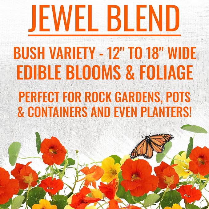 Seed Needs Nasturtium Garden Seeds Variety Pack of 2 Edible Wildflowers