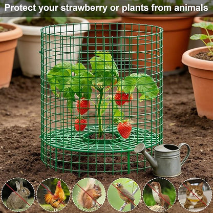 5 Sets Strawberry Plant Support with Wire Plant Protectors, 12.9"x 11.8" Wire Plant Cages and Strawberry Growing Racks, Animal Protection for Strawberry Tomato Garden Vegetables Plants