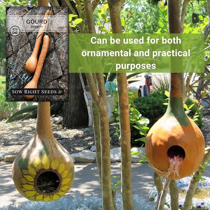 Sow Right Seeds - Dipper Gourd Seeds for Planting - Non-GMO Heirloom Packet with Instructions to Plant and Grow an Outdoor Home Vegetable Garden - Ornamental Craft Gourd - Rare & Unique (2)