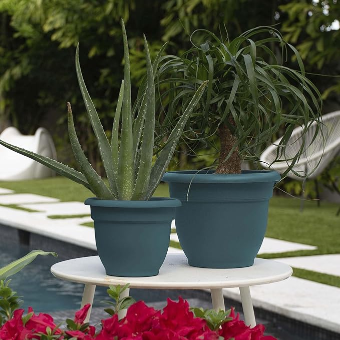 Bloem Ariana 6" Charleston Round Self-Watering Resin Planter Pot - Rolled Rim Indoor and Outdoor Gardening Planter