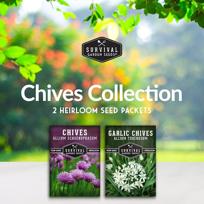 Chive Seeds Collection - Common & Garlic Chives Seed for Planting - 2 Packets of Non-GMO Heirloom Open-Pollinated Herb Varieties to Plant in Your Garden - Survival Garden Seeds