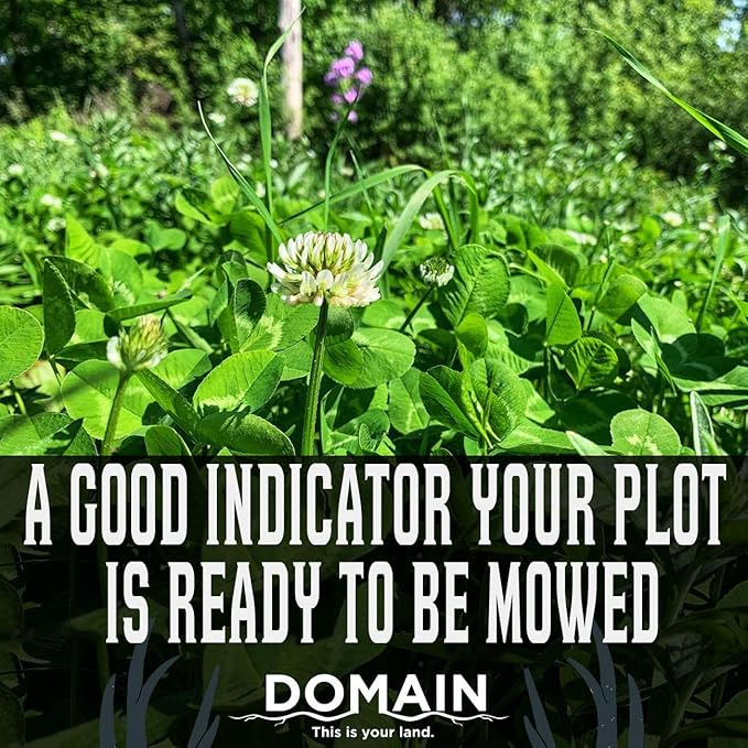 Domain Outdoor Hot Chic Food Plot Seeds for Deer, Chicory - 2 Varieties of Clover, Great to Plant in Spring or Fall, Hardy Mixture of PH Tolerant Perennials, Can Last Several Years, 1/2 Acre