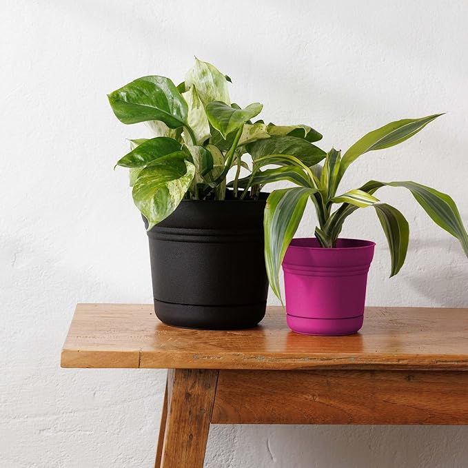 Bloem Saturn 7" Black Round Resin Planter Pot with Snap-in Saucer for Indoor and Outdoor Gardening