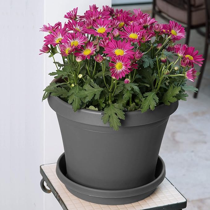 Bloem Terra Resin Saucer Tray: 4.75" Bottom Width - Charcoal Gray - Matte, Durable, Ribbed Bottom, Indoor and Outdoor, Fits 6" Terra Pots