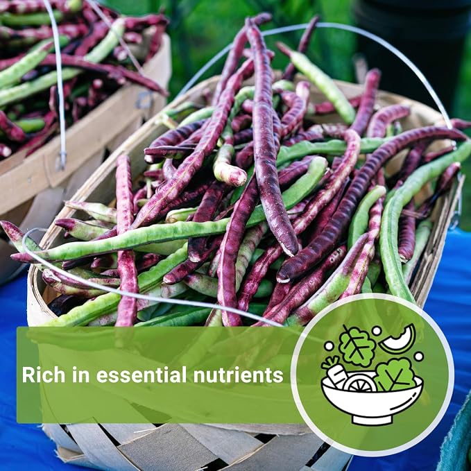 Sow Right Seeds - Top Pick Pinkeye Cowpea Seeds for Planting - Non-GMO Heirloom Packet with Instructions to Plant a Vegetable Garden - Market Favorite Bush Bean Variety - Interesting Pink Pods (1)
