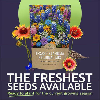 Texas Oklahoma Wildflower Seeds Mixture - Bulk 1/4 Pound Bag - Over 60,000 Native Seeds - Open Pollinated and Non GMO