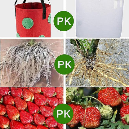 Upside Down Tomato Planter-3 Gallon Hanging Strawberry Planter Durable Aeration Fabric Grow Bags for Vegetables (Set of 3- Red，Green and Black)